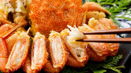Close-up,Boiled,Hokkaido,Horsehair,Crab